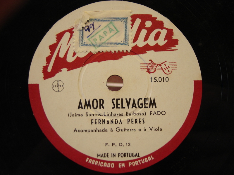 Amor selvagem